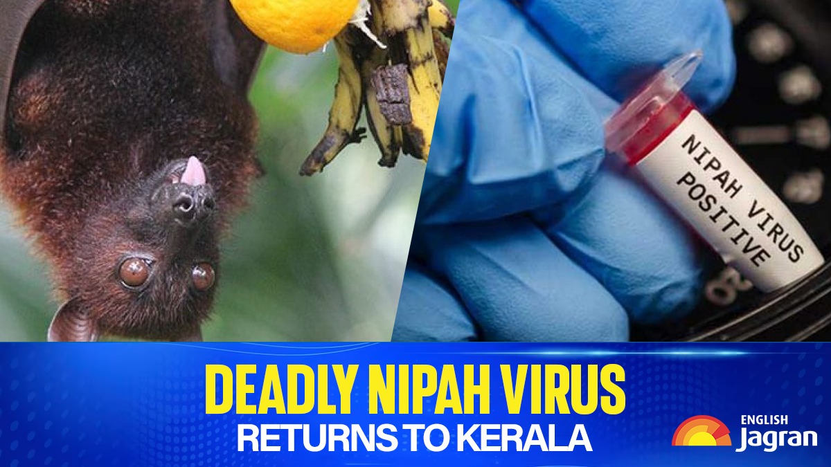 Nipah Virus Infection: What Is NiV? A Look At Previous Cases | Kerala's ...